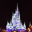 scienceboy403 avatar