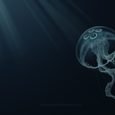 sciencefictionhappenssometimes avatar