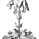 scienceisstrange avatar