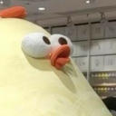 sciencemakestheories avatar