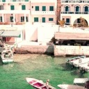 scienceofdiscontent avatar