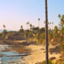 scienceofseeing avatar