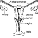 scienceofsexuality avatar