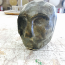 sciencethoughtsandperfectrambles avatar