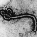 sciencewithatwist avatar