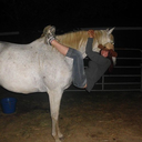 scientificnatureofthewhammy1 avatar