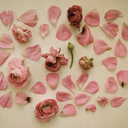 scin-till-ating avatar