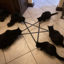 scintillarious avatar