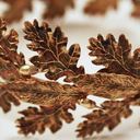 scionofpelagios avatar