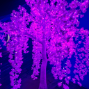 scissor-me-wet avatar