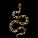 scissorsappledog avatar