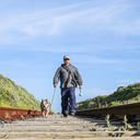 scm-slipperyelf-blog avatar