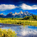 scooterbeeman avatar