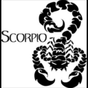 scorpiaqueen avatar