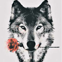 scorpio-grey-wolf avatar