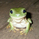 scorpiomoonix avatar