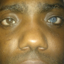 scottdathrilla avatar