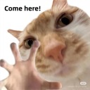 scottish-eejit avatar