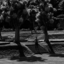 scottjgallagher avatar