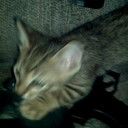 scotttbean-blog avatar