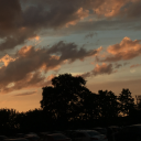 scoutingmelodies avatar