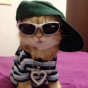 scoutsonlineaccount avatar