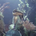 scratchietella avatar