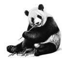 scream-of-silence avatar