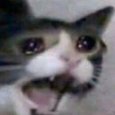 screamatthemoon avatar