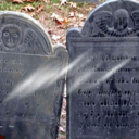 screaming-sirens-blog avatar