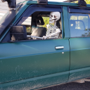 screaming-stuka avatar