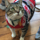 screamingallthetime avatar