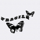 screamingbttrfly avatar