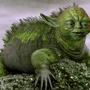 screamingiguanas avatar