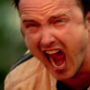 screamingjessepinkman avatar