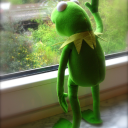 screamingpigeon avatar