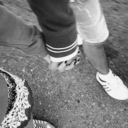 screams-in-the-echo avatar