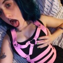 screeches-and-skreeonks avatar