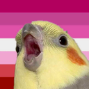 screeching-cherries avatar