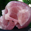 screeching-gay avatar