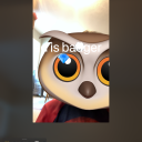 screechingeagles avatar