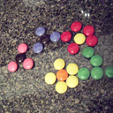 screechingenemywolf avatar