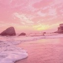 screechingpatrolprincess avatar