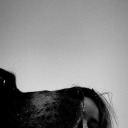 screechingpersonrascaldreamer avatar