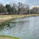 screechingskeletonlampangel avatar