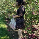 screechingtreenuts avatar