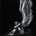 screenshotwings avatar