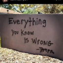 screw-their-opinions avatar