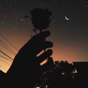 screwedd-society avatar