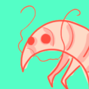 scribbleshrimp avatar